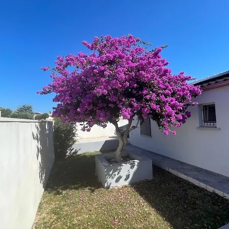 Elegance Villa *